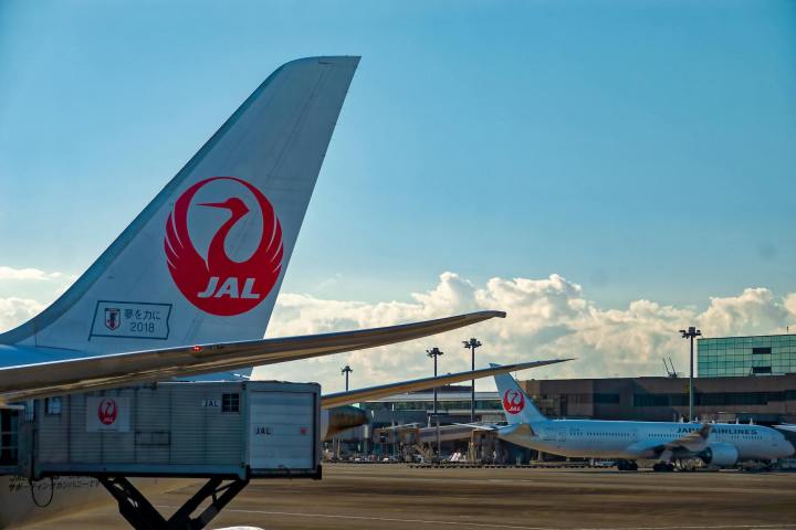 Ciberataque causa interrupción en vuelos nacionales e internacionales de Japan Airlines