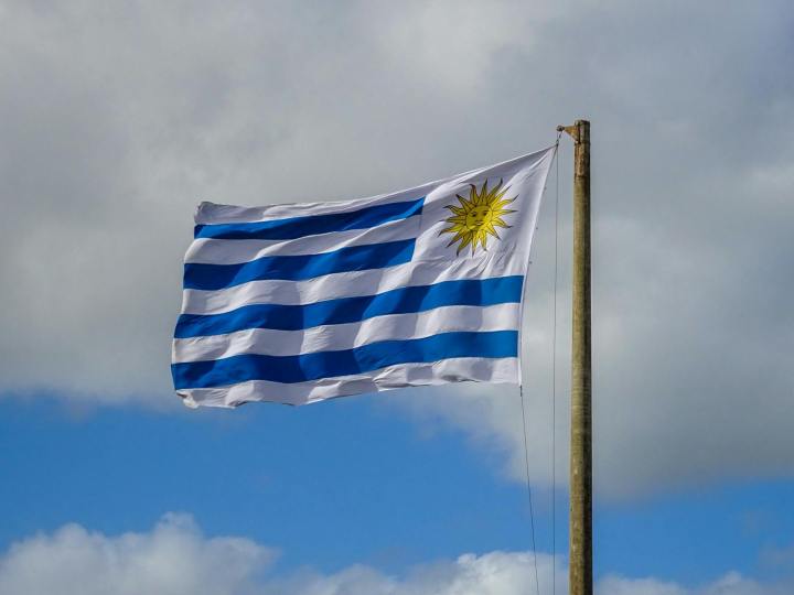 Filtran miles de formularios de visas obtenidos de la Dirección Nacional de Migración de Uruguay