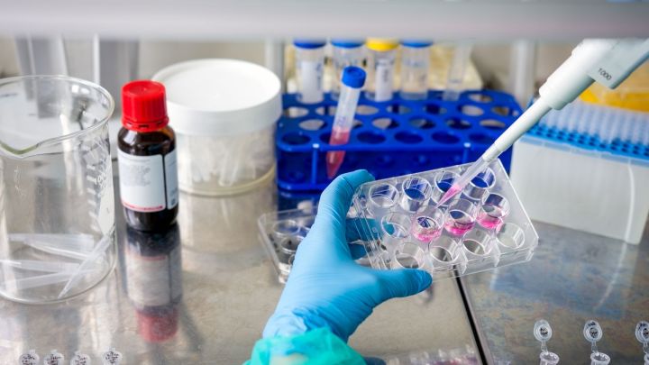 Expuestos 500 mil datos de participantes en programa de salud tras ciberataque a laboratorio de Países Bajos